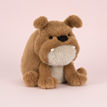 Derreck Grumpy Dog pink background